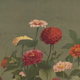 Willa Magland