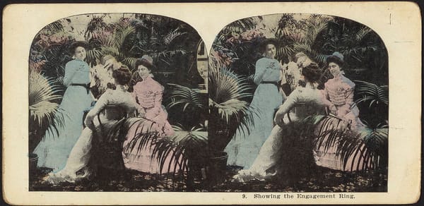 Women's Words: Feminist Critiques of Marriage through History